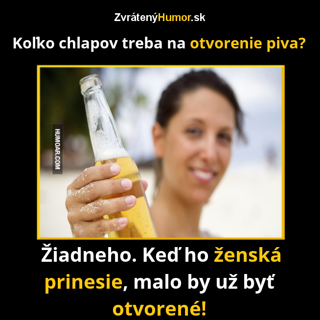 231.pivko