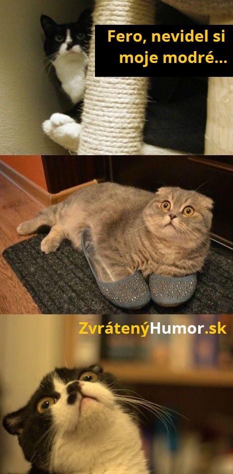 232.topánky