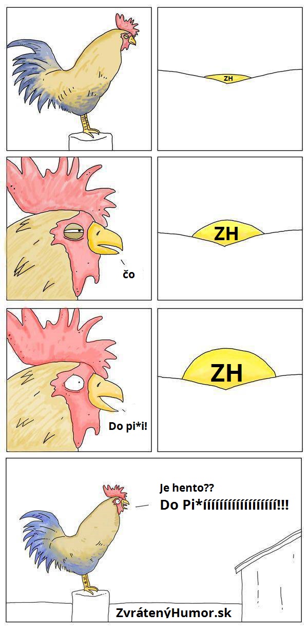 243.kohutik