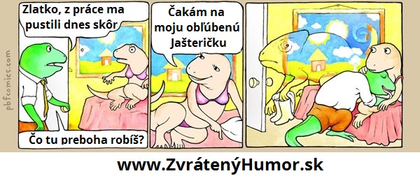 251.jašterička