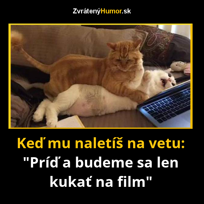 264.film