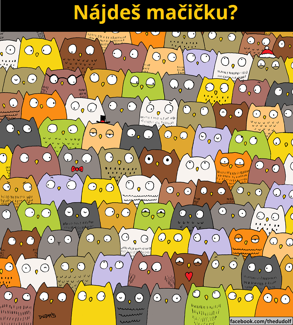 276.mačička