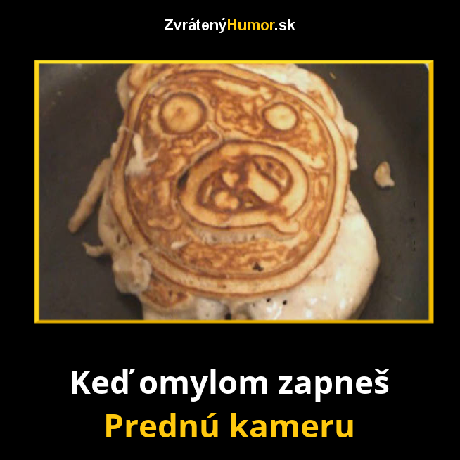 293.kamera