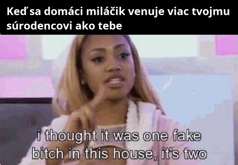 4 domaci milačik