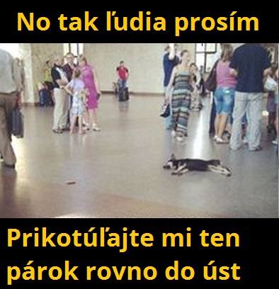 6 do úst