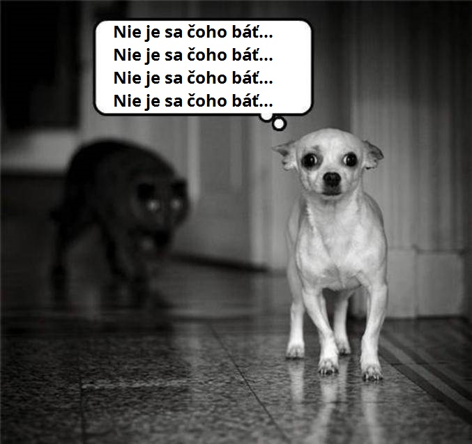7 nič to nie je