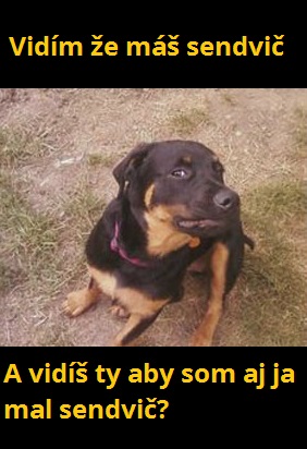 8 sendvič