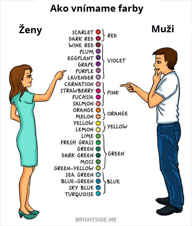 an_illustrated_guide_to_the_quirky_differences_between_men_and_women_640_high_07