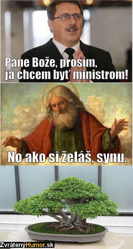 bonsaj