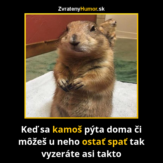 cez noc