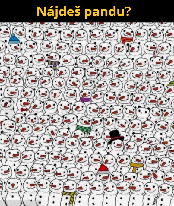 panda