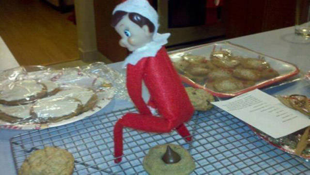 elf15