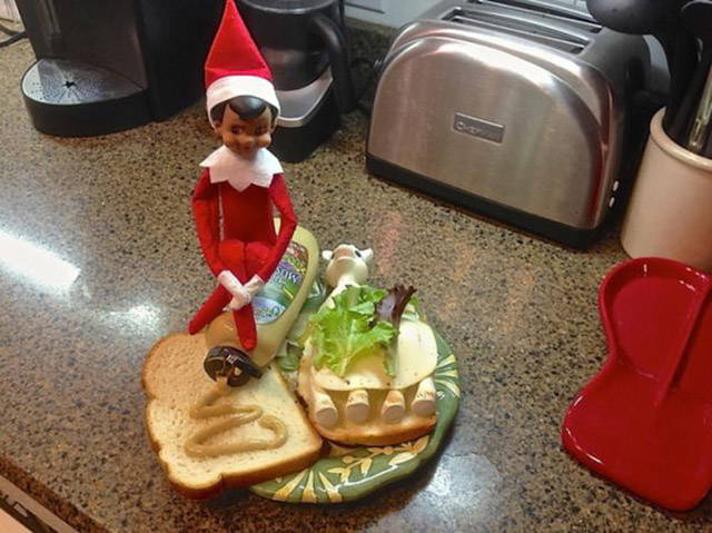 elf20