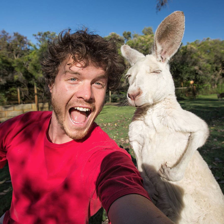 zvieracie selfies 3