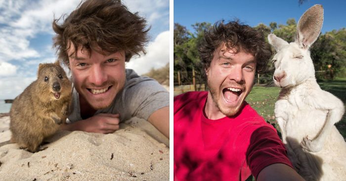 zvieracie selfies 12