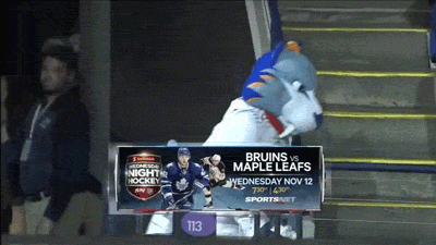 hockey_fans_take_things_to_the_extreme_04