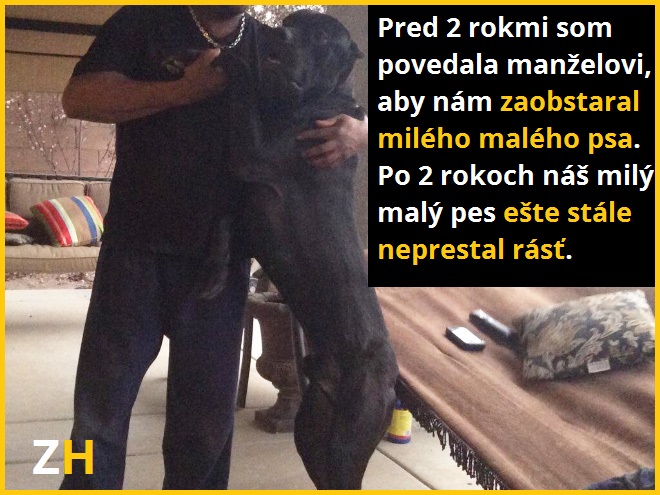 Muzi a ulohy 11