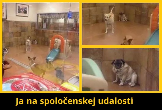 ja v spoločnosti