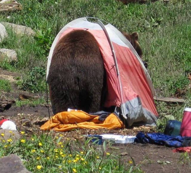 oh_the_joys_of_camping_640_09