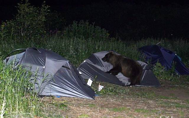 oh_the_joys_of_camping_640_10