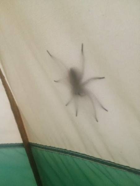 oh_the_joys_of_camping_640_22