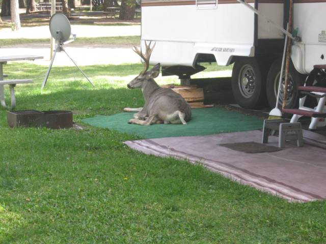oh_the_joys_of_camping_640_30
