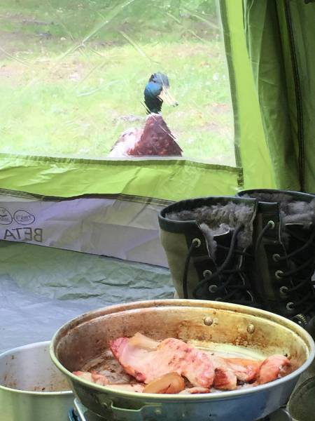 oh_the_joys_of_camping_640_40