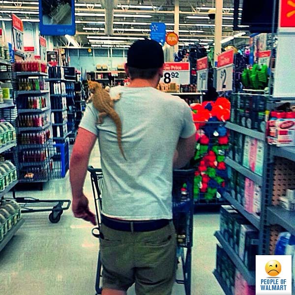 walmart 13