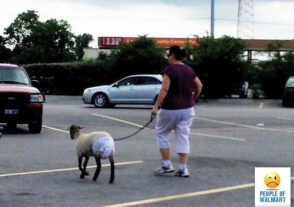 walmart 8