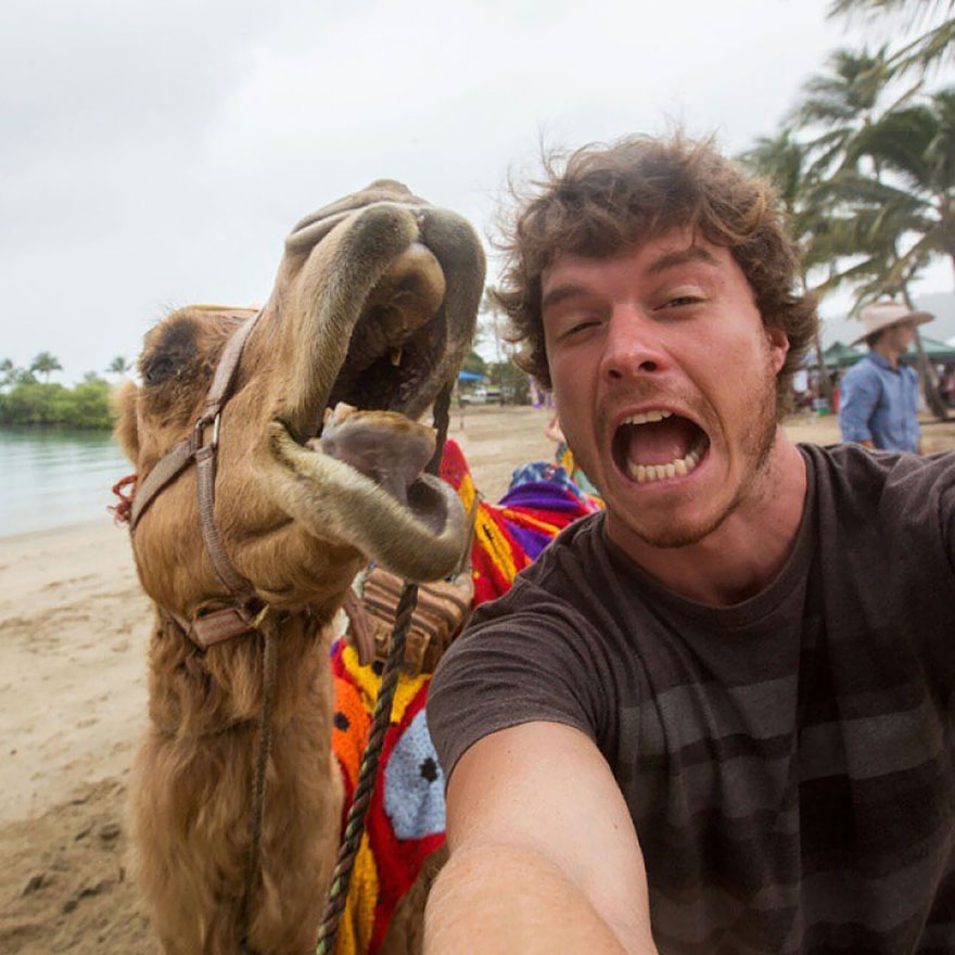 zvieracie selfies 14