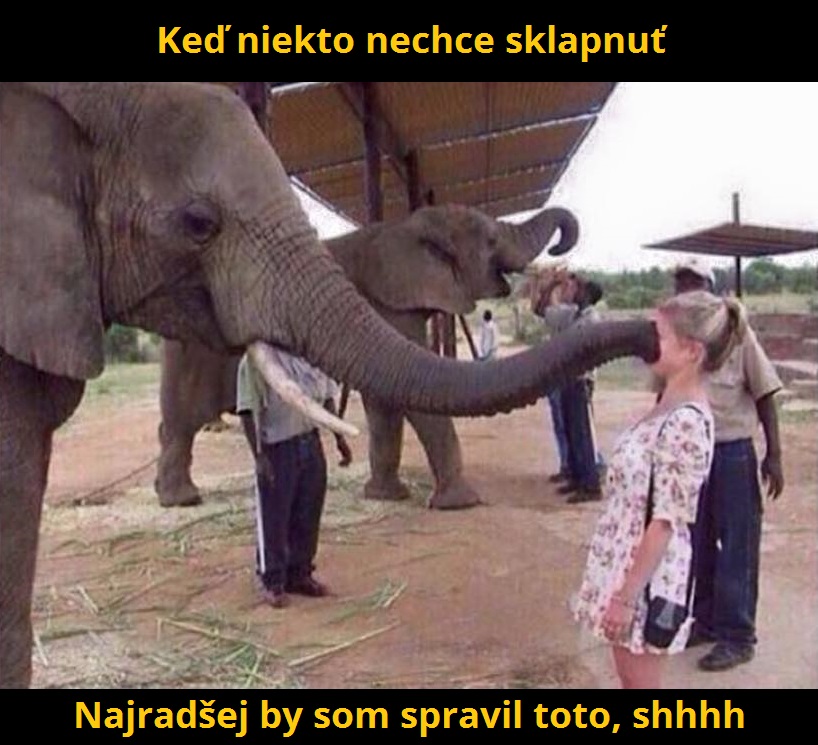 slonik