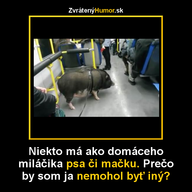svinaa