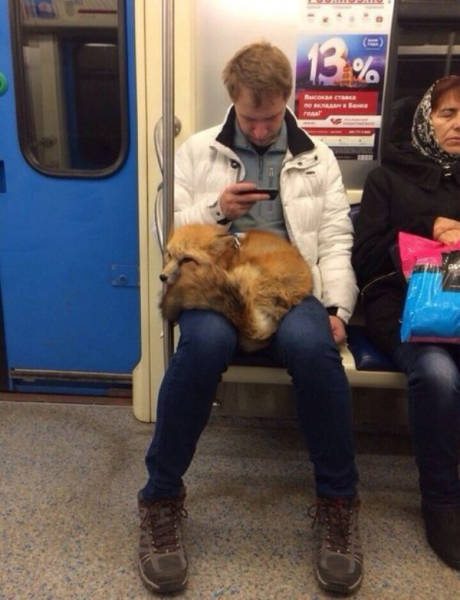 there_is_no_end_to_how_much_weirdness_happens_on_the_subway_640_19