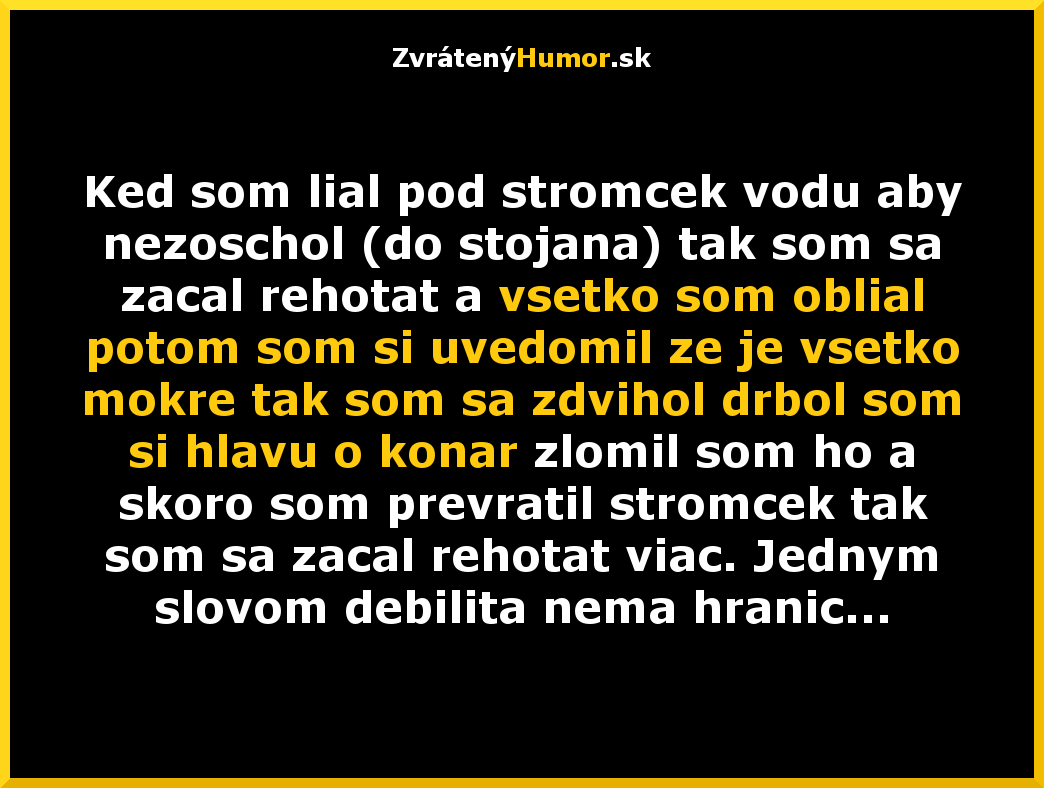 vianocne prihody 10