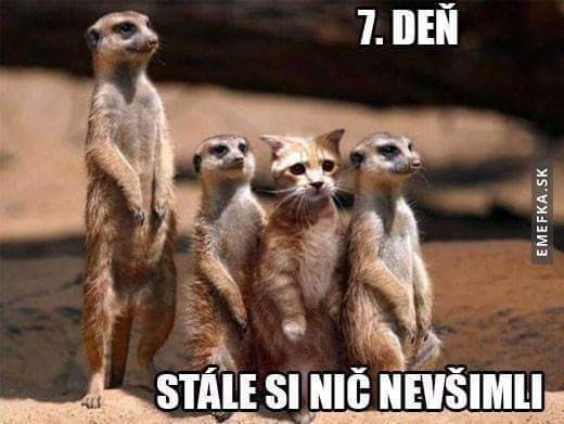 vtipne obrazky 17