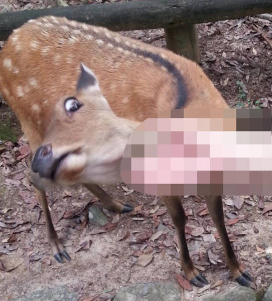 when_you_censor_things_unnecessarily_you_just_make_things_worse_640_07