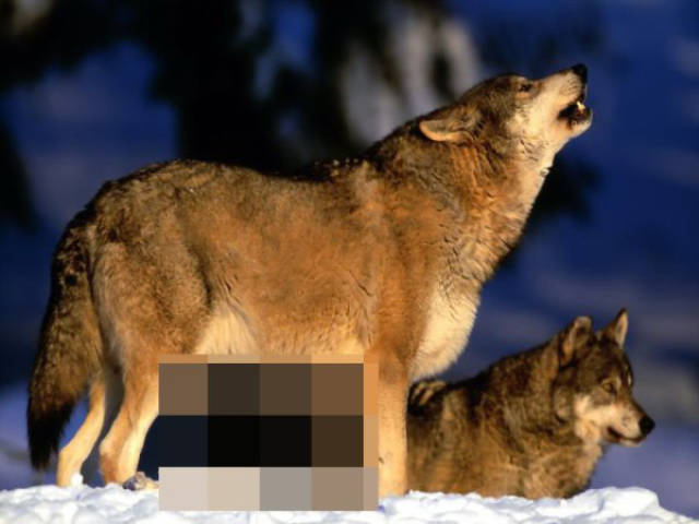 when_you_censor_things_unnecessarily_you_just_make_things_worse_640_11