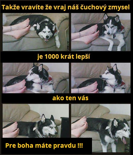 čuch