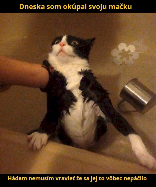 1 kupeľ