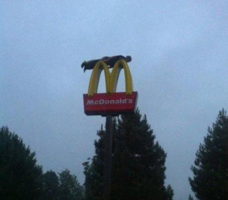 10 mcdonald