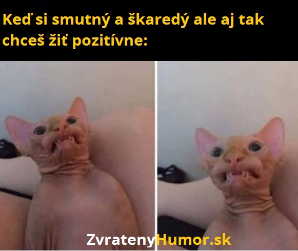prijemne