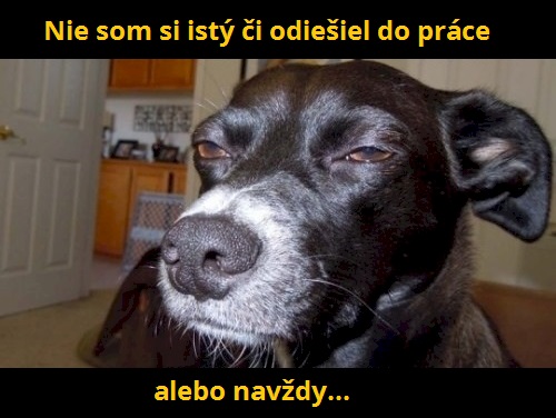 12 kam šiel