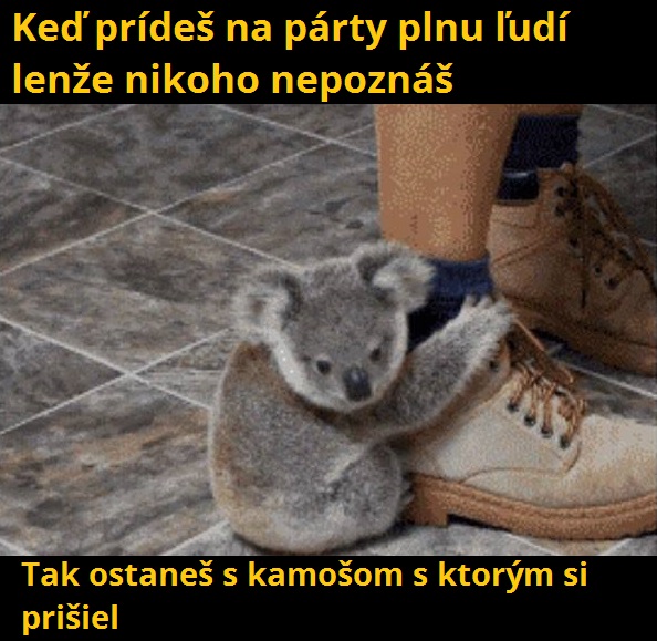 party