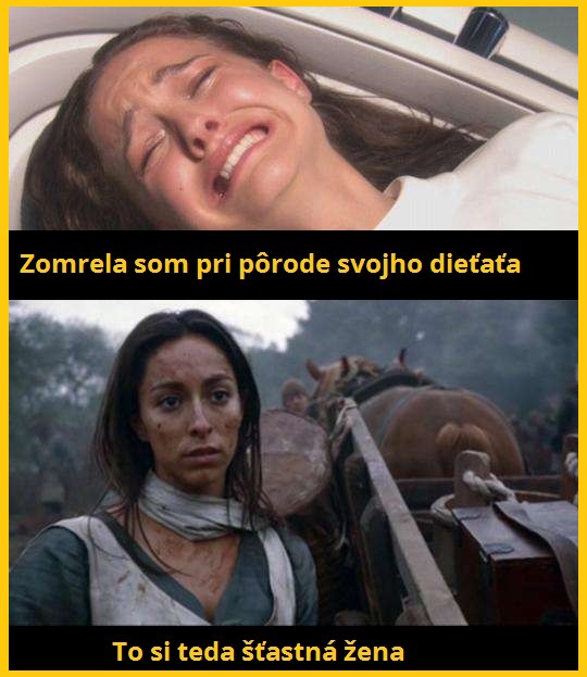 16 rodenie