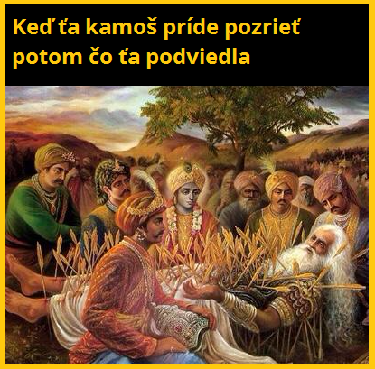19 kamoši
