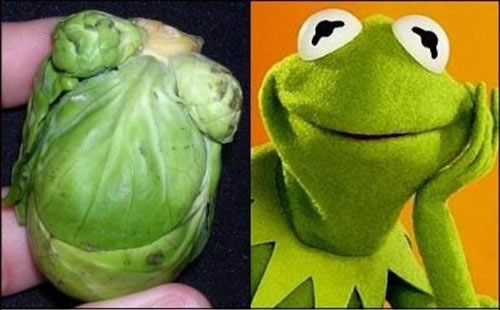 20-Funny-Foods-That-look-Freakishly-Similar-To-Celebrities