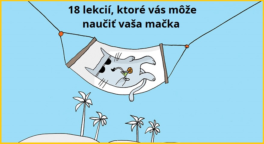 18 lekcií, ktoré vás môže naučiť vaša mačka!