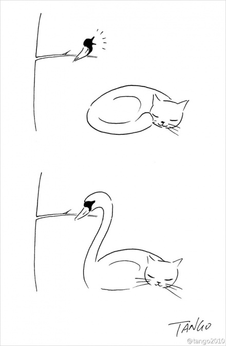 25