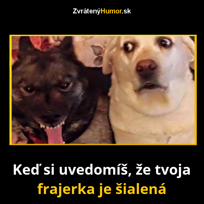 295.frajerka