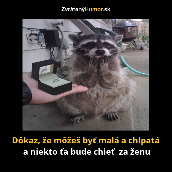 296.zasnuby
